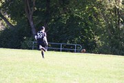 OTFL Gallery Image